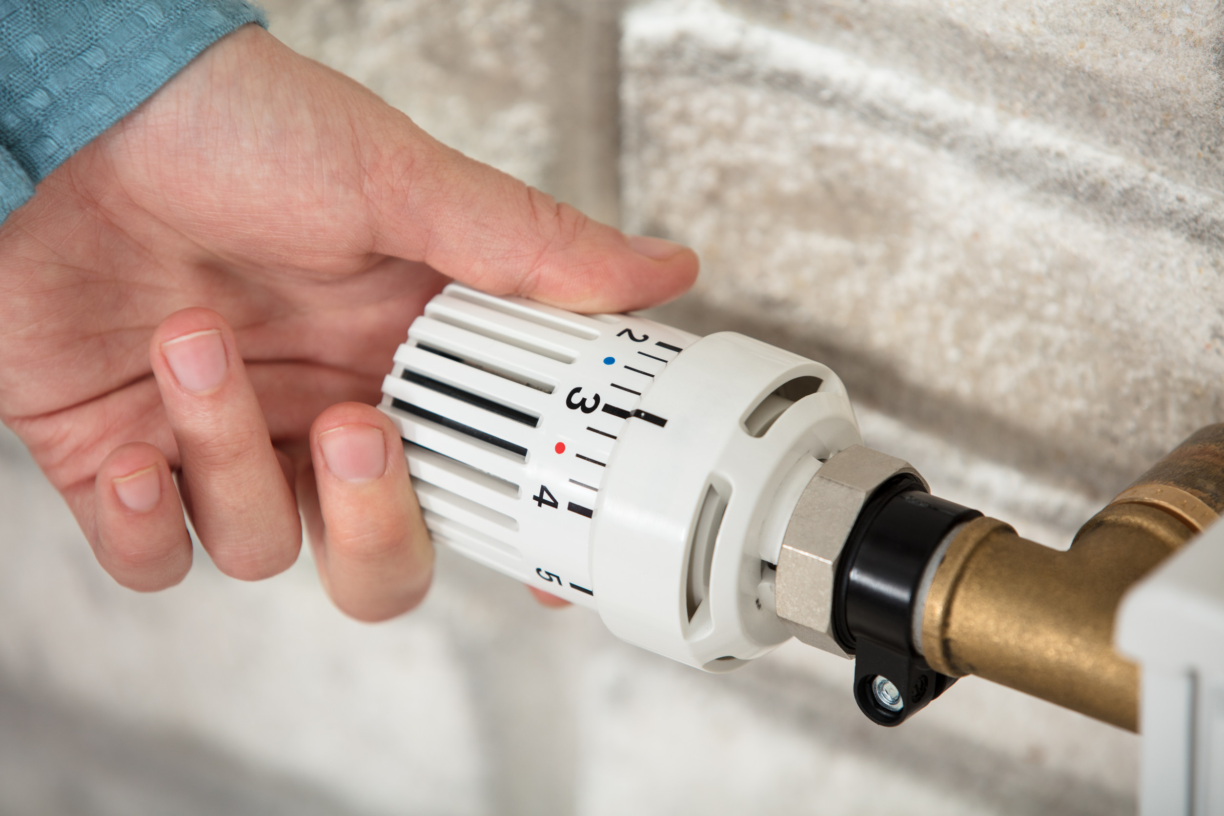 Temperature Checking